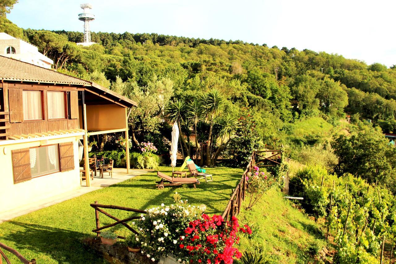 Chalet Annie Villa Sorrento Luaran gambar